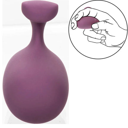 Paltes lila silikon stressball mit rundlichem körper und schmalem hals von calexotics mod touch stimulator
