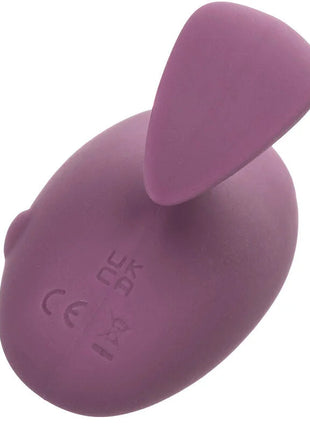 Purple silikon rabbit-vibrator mit glatten rundungen und einem ohr von calexotics mod touch stimulator lila