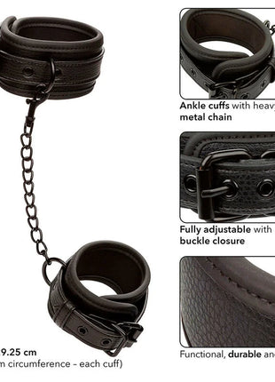 Schwarze verstellbare leder fussmanschetten von CalExotics mit robustem metallkettenglied und sicherer schnalle