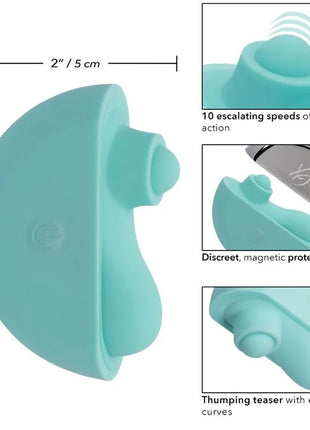 Tealfarbenes ergonomisches thumping teaser mit magnetischem schutzgehäuse von CALEXOTICS ovation acclaim stimulator
