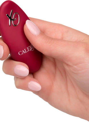 Ein matt rotes calex brand rider doppelmotor massager fernbedienung mit silbernem logo und branding