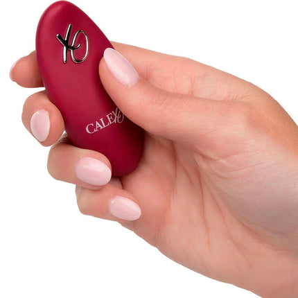 Ein matt rotes calex brand rider doppelmotor massager fernbedienung mit silbernem logo und branding