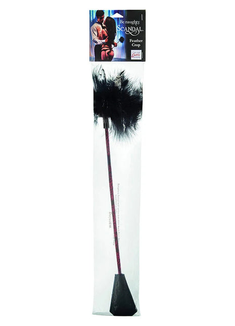 CALEXOTICS - SCANDAL SCHWARZE FEDERPEITSCHE