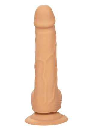 CALEXOTICS - SILIKON-NIETEN 15.24 CM HAUT - Dildo mit Saugnapf