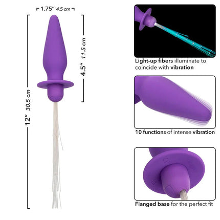 Lila silikon analplug von calexotics mit lichtfasern und flanschbasis 10 vibrationsmodi