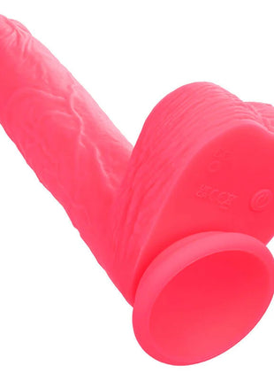 CaleXotics studs realistischer vibrator rosa aus silikon mit strukturierter oberfläche und abgerundetem boden