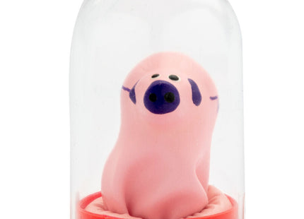 Pink plüschschwein figurine mit schwarzen augen und nase unter klarglas dom auf rotem ständer im condomerie handbemalte neuheitskondome kleines schwein
