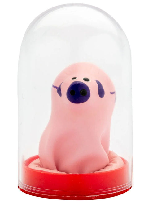 Pink plüschschwein figurine mit schwarzen augen und nase unter klarglas dom auf rotem ständer im condomerie handbemalte neuheitskondome kleines schwein