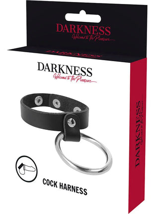 Schwarzer leder cock harness darkness mit silbernem metallring und drei sichtbaren nieten für penis und hoden