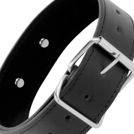 Schwarzes lederhundehalsband darkness mit silberner metallschnalle und sichtbaren nähte für gute passform