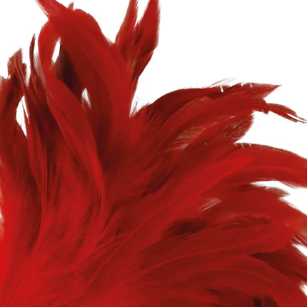 DARKNESS - ROTER STIMULIERENDER STIFT 24CM - Boas und Federn