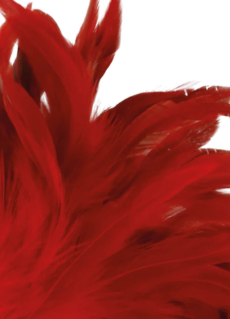 DARKNESS - ROTER STIMULIERENDER STIFT 24CM - Boas und Federn