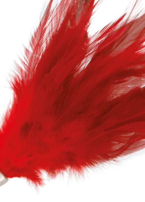 DARKNESS - ROTER STIMULIERSTIFT 17 CM - Boas und Federn