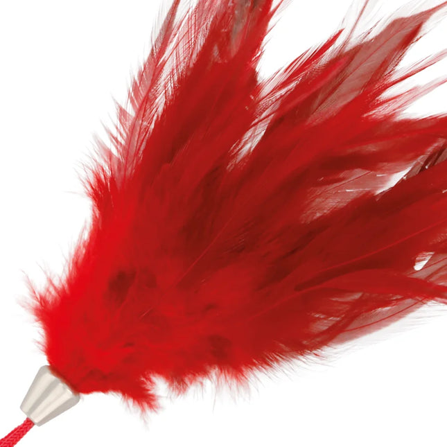 DARKNESS - ROTER STIMULIERSTIFT 17 CM - Boas und Federn