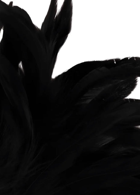 DARKNESS - SCHWARZER LUX-STIMULIERENDER STIFT - Boas und Federn