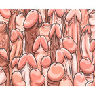 Cartoonillustration eines farbigen mauspads mit dichtem muster aus pinken und braunen phallusformen diablo picante