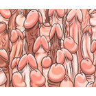 Cartoonillustration eines farbigen mauspads mit dichtem muster aus pinken und braunen phallusformen diablo picante