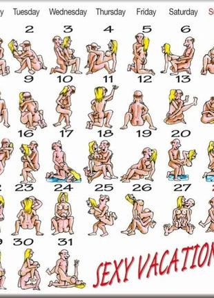 Ein diabolo picante kamasutra-kalender magnet mit cartoonillustrationen nuder paare und dem text sexy vacations