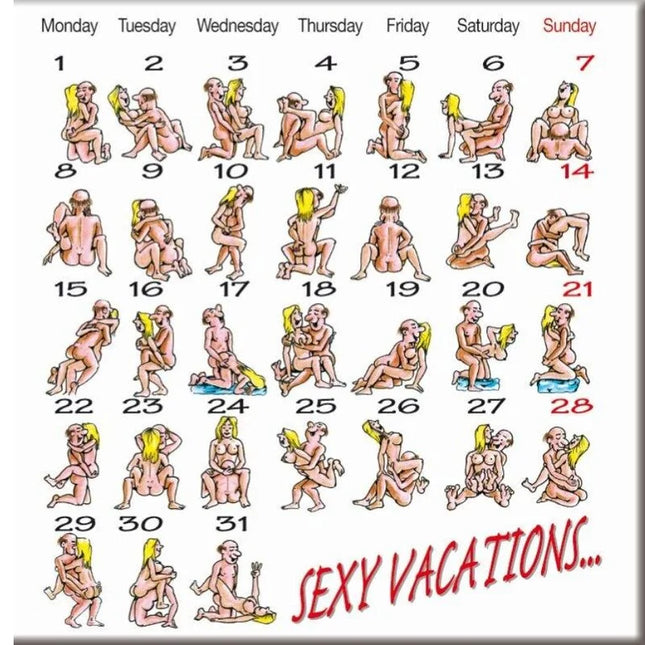 Ein diabolo picante kamasutra-kalender magnet mit cartoonillustrationen nuder paare und dem text sexy vacations