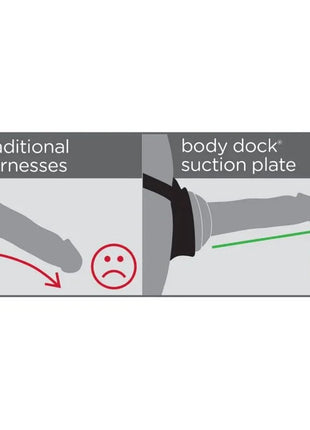 DILLIO - BODY DOCK - HARNESS - VIOLETT - Geschirre