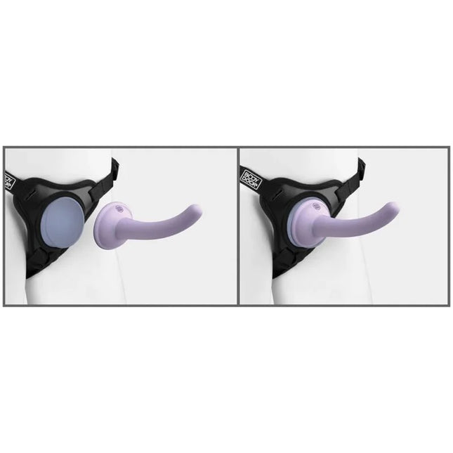 DILLIO - BODY DOCK - HARNESS - VIOLETT - Geschirre