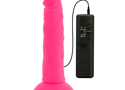 Vibrabler flexibler dildo aus silikon in rosa mit schwarzer fernbedienung für vier vibratioseinstellungen