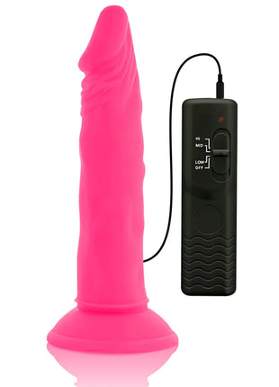 Vibrabler flexibler dildo aus silikon in rosa mit schwarzer fernbedienung für vier vibratioseinstellungen