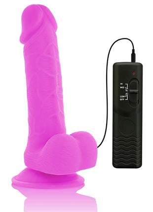 Diversia flexibler vibrierender dildo lila 20 5 cm mit pinkem silikon und schwarzer fernbedienung