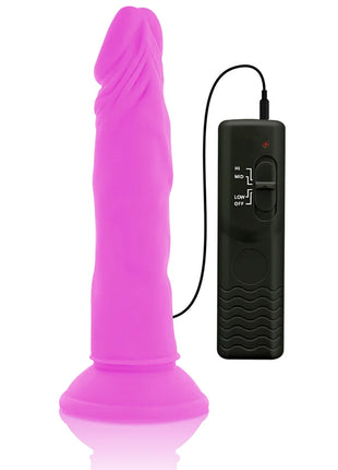 Flexibler lila silicone dildo 23 cm mit vibrierender funktion und schwarzer fernbedienung mit hi mid low und off einstellen