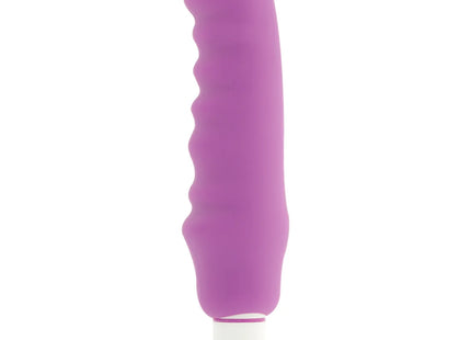 DOLCE VITA - GENIUS PURPLE SILICONE