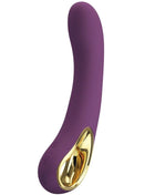 Ethan: Flexi-G-Punkt-Vibe 12 Modi USB Lila - G-Punkt Vibratoren