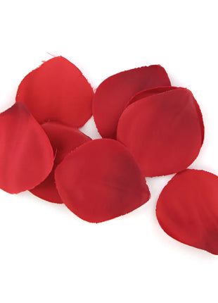 https://dreamlove.gesio.be/productos/imagenes/img_14037_3c23e52ca00637b5abfdbd976c7f1907_1.jpg