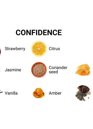Eol pheromon parfum 10 ml confidence mit sechs duftnoten wie erdbeere zitrus jasmin und koriandersamen auf weißem hintergrund