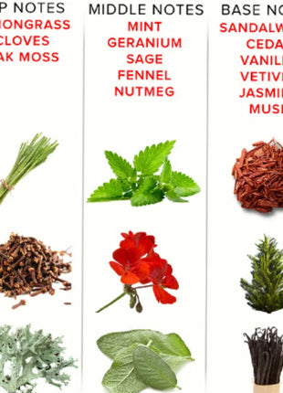 Ein aromatisches botanisches duftstoffdiagramm mit kopf mittel und basisnoten für eye of love eol pheromon parfum 10 ml romantic