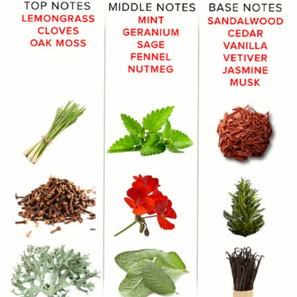 Ein duftstoffdiagramm für eye of love eol phr parfum deluxe 50 ml zeigt aromatische botanische noten nach kopf mittel und basis