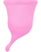 FEMINTIMATE - EVE NEUE SILIKON-MENSTRUATIONSTASCHE - GRÖSSE L