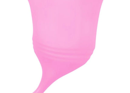 FEMINTIMATE - EVE NEUE SILIKON-MENSTRUATIONSTASCHE - GRÖSSE L
