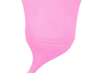FEMINTIMATE - EVE NEUE SILIKON-MENSTRUATIONSTASCHE - GRÖSSE M