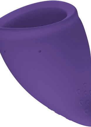 FUN FACTORY - FUN MENSTRUAL CUP GRÖSSE A SCHWARZE JOHANNISBEERE