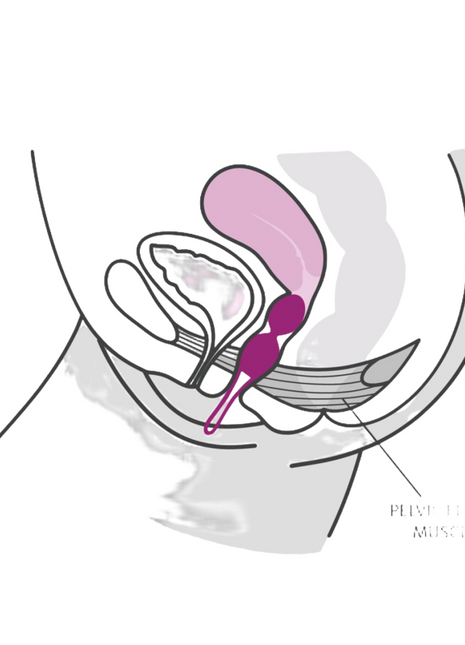 Lila silikon vaginalspielzeug fun factory smartballs duo mit spitz zulaufendem design und kleinem ring am ende