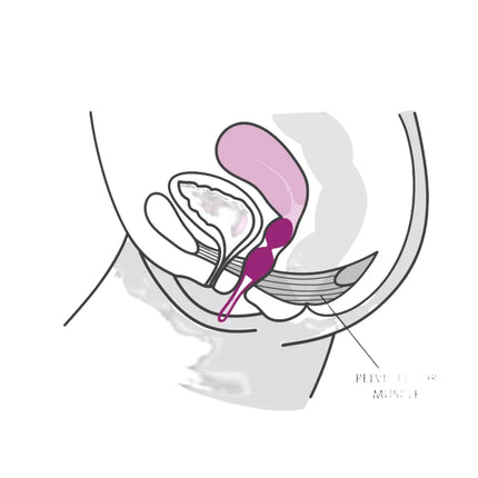 Lila silikon vaginalspielzeug fun factory smartballs duo mit spitz zulaufendem design und kleinem ring am ende