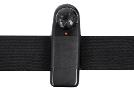 Schwarzer kunststoff hundepfeife mit strukturiertem griff und roter anzeigelampe im produkt harness attraction rnes hollow benny mit vibrator 15 cm o 4.5 cm