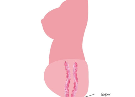 Pink silikon body insert mit strukturierten und glatten tunnels für hidden desire double d torso masturbator vagina und anal 5 kg