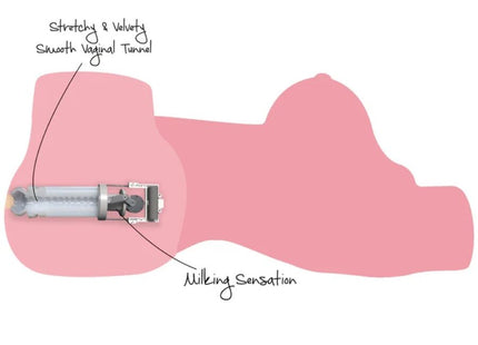 Pink silikon vaginalspielzeug mit klarem zylindrischem körper und metallischen mechanischen komponenten zur stimulation