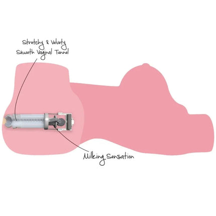 Pink silikon vaginalspielzeug mit klarem zylindrischem körper und metallischen mechanischen komponenten zur stimulation