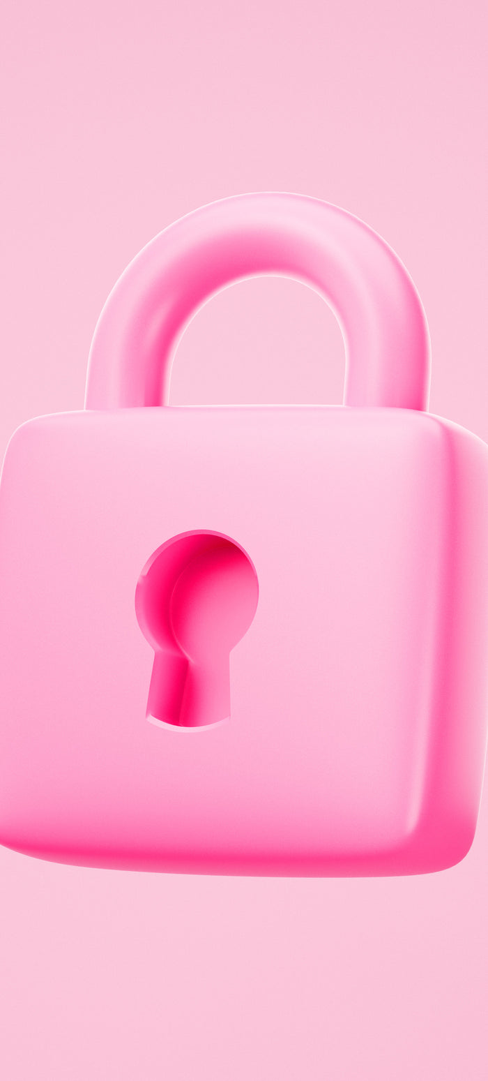 <h1><strong>Sicherer Zahlungsvorgang</strong></h1>