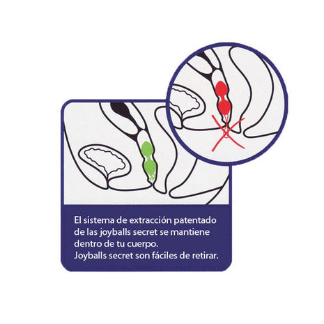 https://dreamlove.gesio.be/productos/imagenes/img_12730_15c68fe2b8faa2e5e7c6fc83dcccf07b_1.jpg