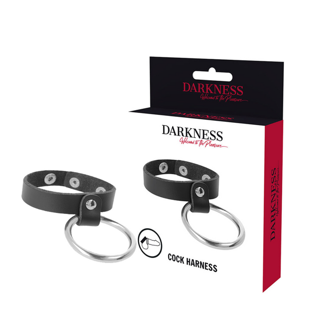 DARKNESS - ANILLO METÁLICO PARA PENE Y TESTICULOS