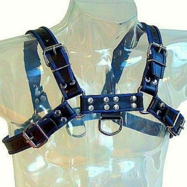 LEATHER BODY - CHEST BULLDOG HARNESS BLACK / BLUE LEATHER