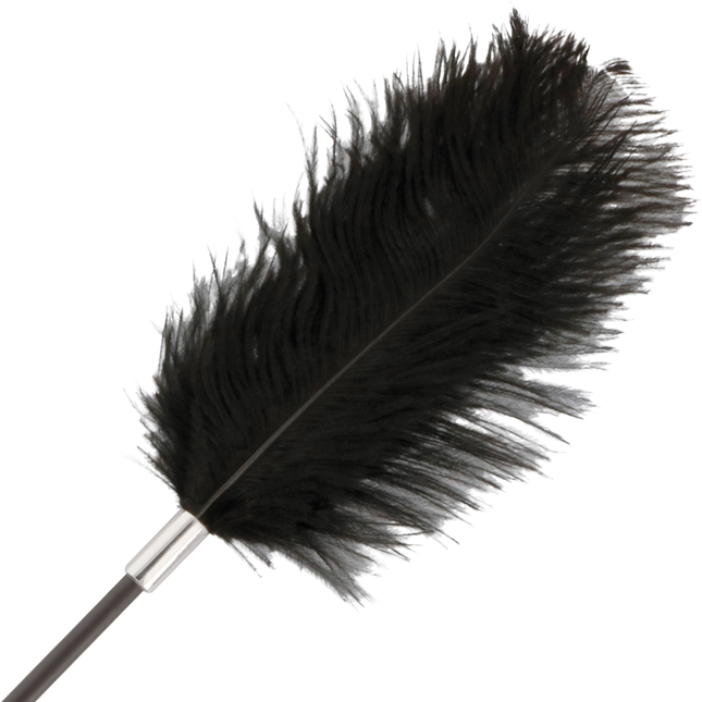DARKNESS - BLACK LOVE FEATHER PEWTER 56 CM